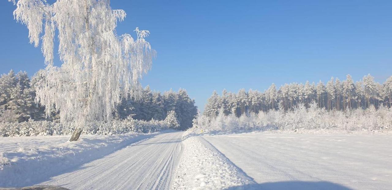 Ostoja Bukowo 12,2 Chata U Szoltesa Borowy Mlyn Exterior foto